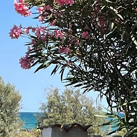 Casa Dell'oleandro Con Vista Mare - Iun Q1269 * La Maddalena (Cagliari)